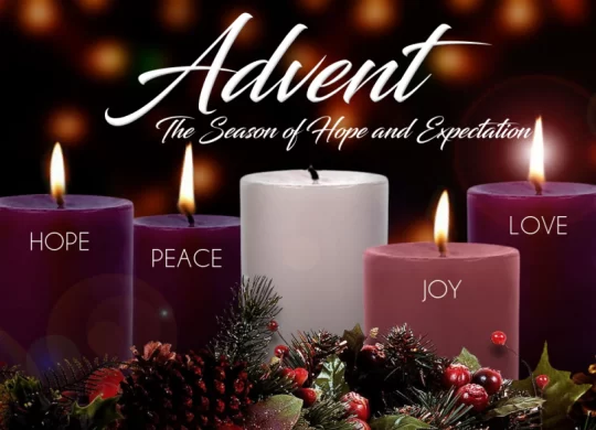 Livestream/Mass Information for the First Sunday of Advent, December 1, 2024